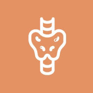 Thyroid Support